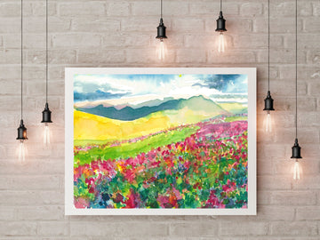 Colourful Meadow and Mountains