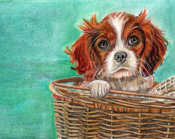 The Art of Capturing Personality: Why Pet Portraits Are So Special